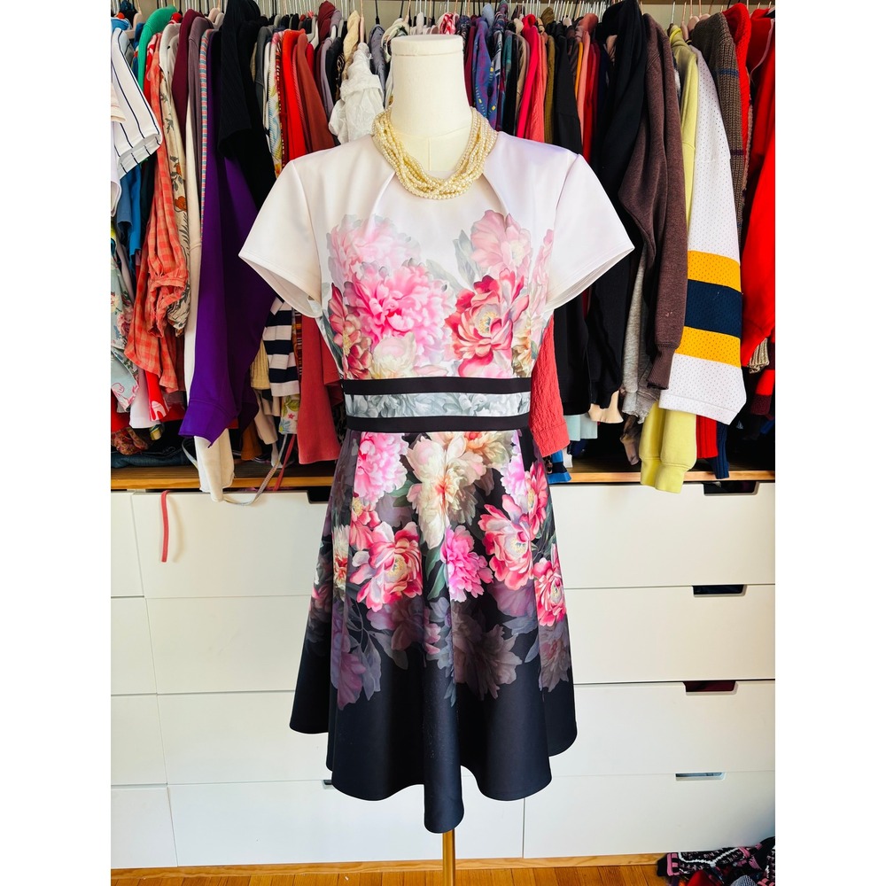 Ted Baker Floral Fit and Flare Dress Womens 4 Pink White Good Short Sleeve Mini